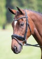 Aviemore Diamante Dressage Bridle